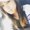 Photo of Itzel G.