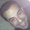 Photo of David A.