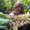 Photo of Kaitlind S.