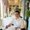 Photo of Thanh N.