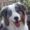 Photo of Ollie B.