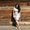 Photo of Shanie L.
