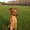 Photo of Amber G.