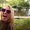 Photo of Stephanie B.