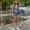 Photo of Hailee K.