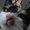 Photo of Qype User (Cherry…)