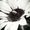 Photo of Jessics G.