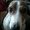Photo of Jilliann R.