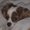 Photo of ILovePatch H.