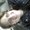 Photo of Joleen F.