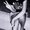 Photo of Alysa H.