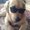Photo of Loree N.