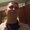 Photo of Kevin A.