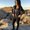 Photo of Nicole P.