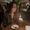Photo of Liana Z.