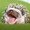Photo of Qype User (Evergr…)