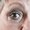Photo of Ginny B.