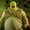 Photo of Shrek S.