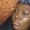 Photo of Shariece T.