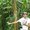 Photo of Kurt C.