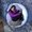 Photo of Roya T.