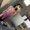 Photo of Talya E.