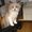 Photo of Qype User (noisyo…)