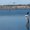 Photo of Rob H.