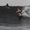 Photo of SurfWith T.