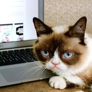 google avatar