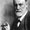 Photo of Don J.
