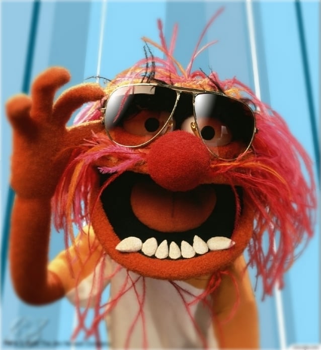 Rob C. avatar image