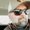 Photo of Steve D.