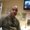Photo of Rodney J.