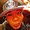 Photo of Anu A.