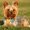 Photo of Tone C.