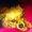 Photo of Shaki D.