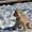 Photo of John L.