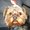 Photo of Helen K.