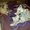 Photo of Jeri S.