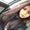 Photo of Saraf S.