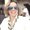 Photo of Lacy E.