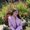 Photo of Brandi C.