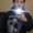 Photo of Will V.