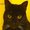 Photo of Mimsy Middlebrow D.