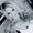 Photo of Cherie B.