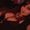 Photo of Kayde M.