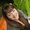 Photo of Michelle P.