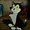Photo of Figaro D.