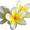 Photo of Jewelry P.